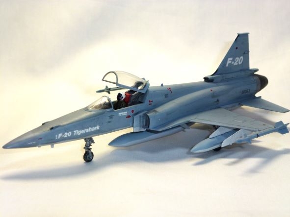 1/72  F-20 タイガーシャーク 試作2号機画像2