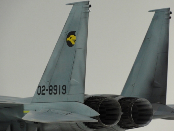 1/32 航空自衛隊F15Jイーグル 小松基地306SQ画像3