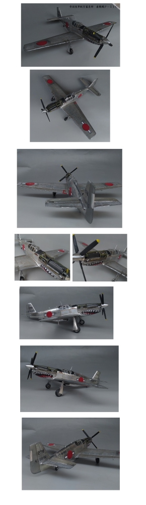 1/32 P-51C鹵獲機画像1
