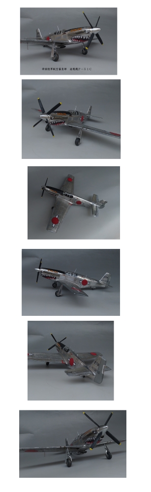1/32 P-51C鹵獲機画像2