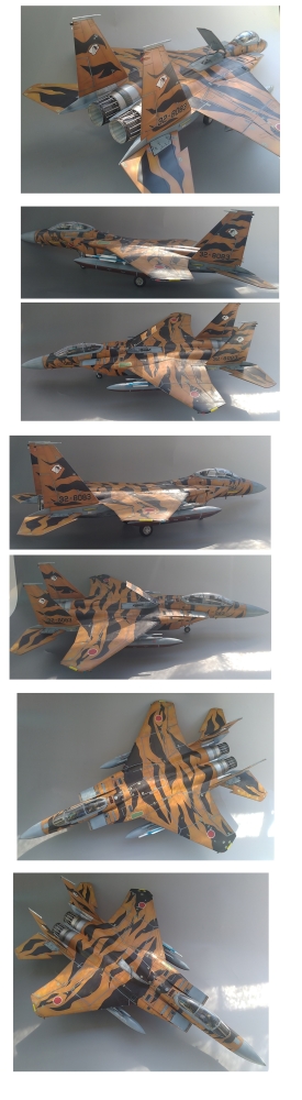 1/32航空自営隊 飛行教導群F15-DJ タイガースキーム画像2