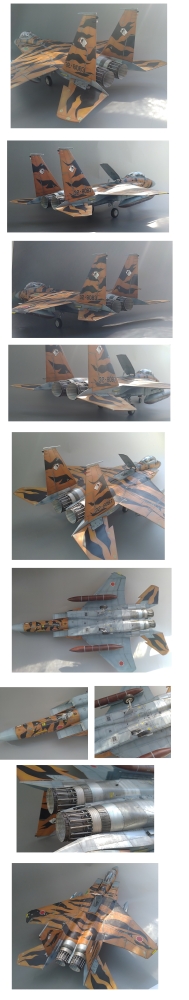 1/32航空自営隊 飛行教導群F15-DJ タイガースキーム画像3