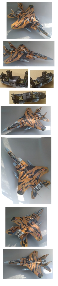 1/32航空自営隊 飛行教導群F15-DJ タイガースキーム画像4