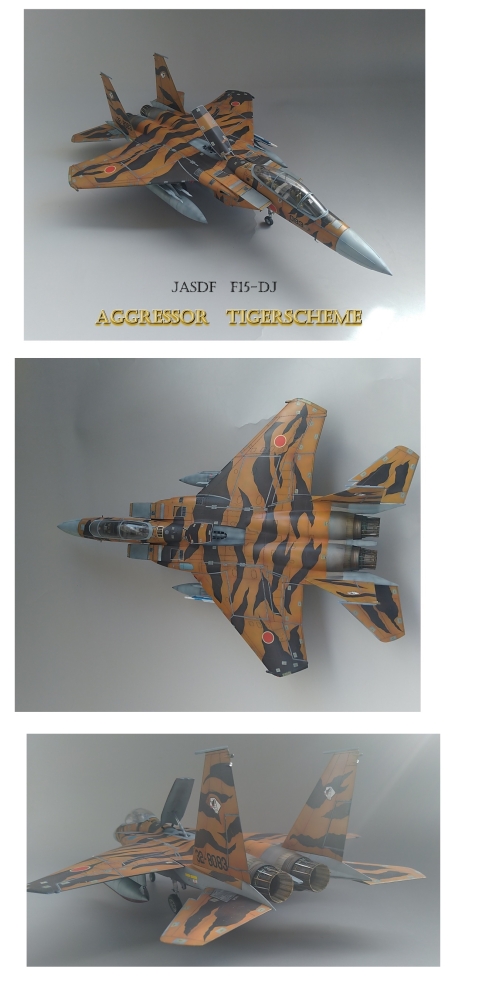 1/48 F-15DJ タイガースキーム画像1