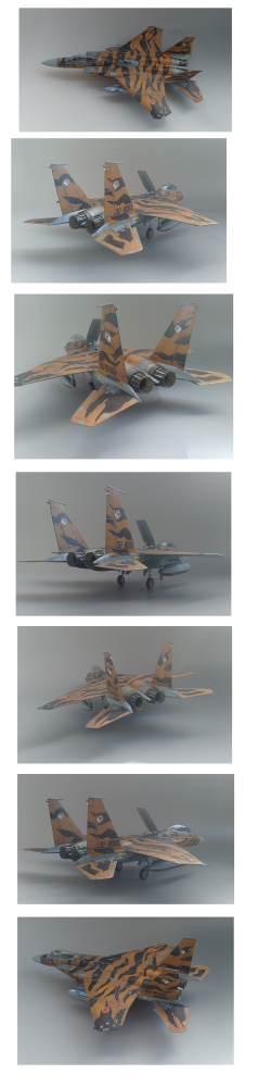 1/48 F-15DJ タイガースキーム画像4