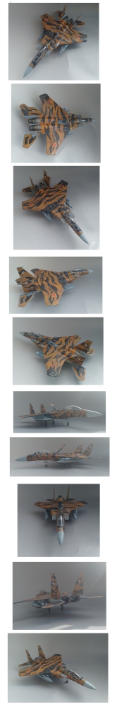 1/48 F-15DJ タイガースキーム画像5