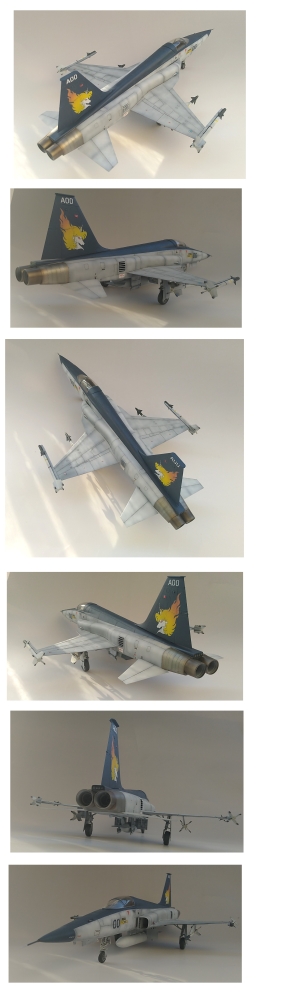 1/32 エリア88 OVA仕様!F-5タイガーⅡ風間慎乗機画像2
