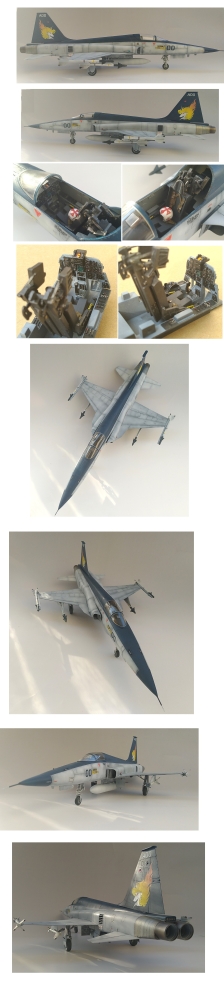 1/32 エリア88 OVA仕様!F-5タイガーⅡ風間慎乗機画像3