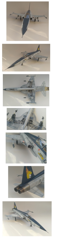 1/32 エリア88 OVA仕様!F-5タイガーⅡ風間慎乗機画像4