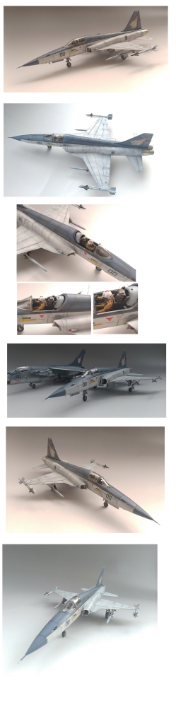1/48 エリア88 F-5EタイガーⅡ画像2
