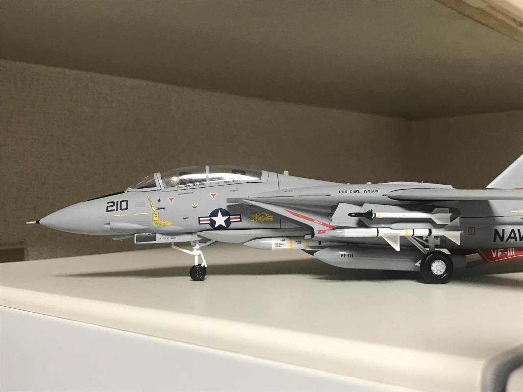 ハセガワ F-14A トムキャット ハイビジ画像1