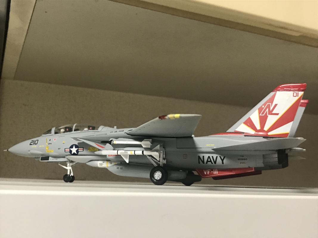 ハセガワ F-14A トムキャット ハイビジ画像2