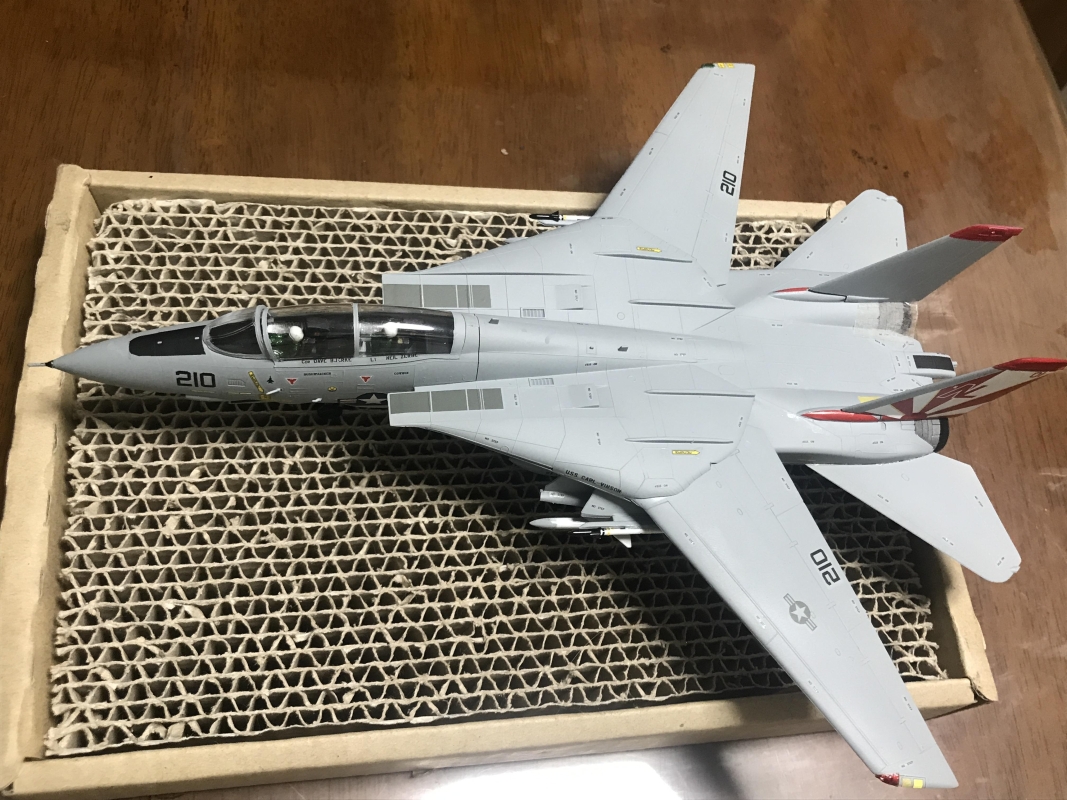 ハセガワ F-14A トムキャット ハイビジ画像3