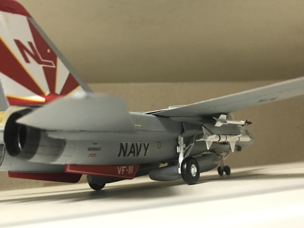 ハセガワ F-14A トムキャット ハイビジ画像4