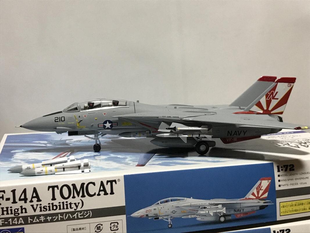 ハセガワ F-14A トムキャット ハイビジ画像5