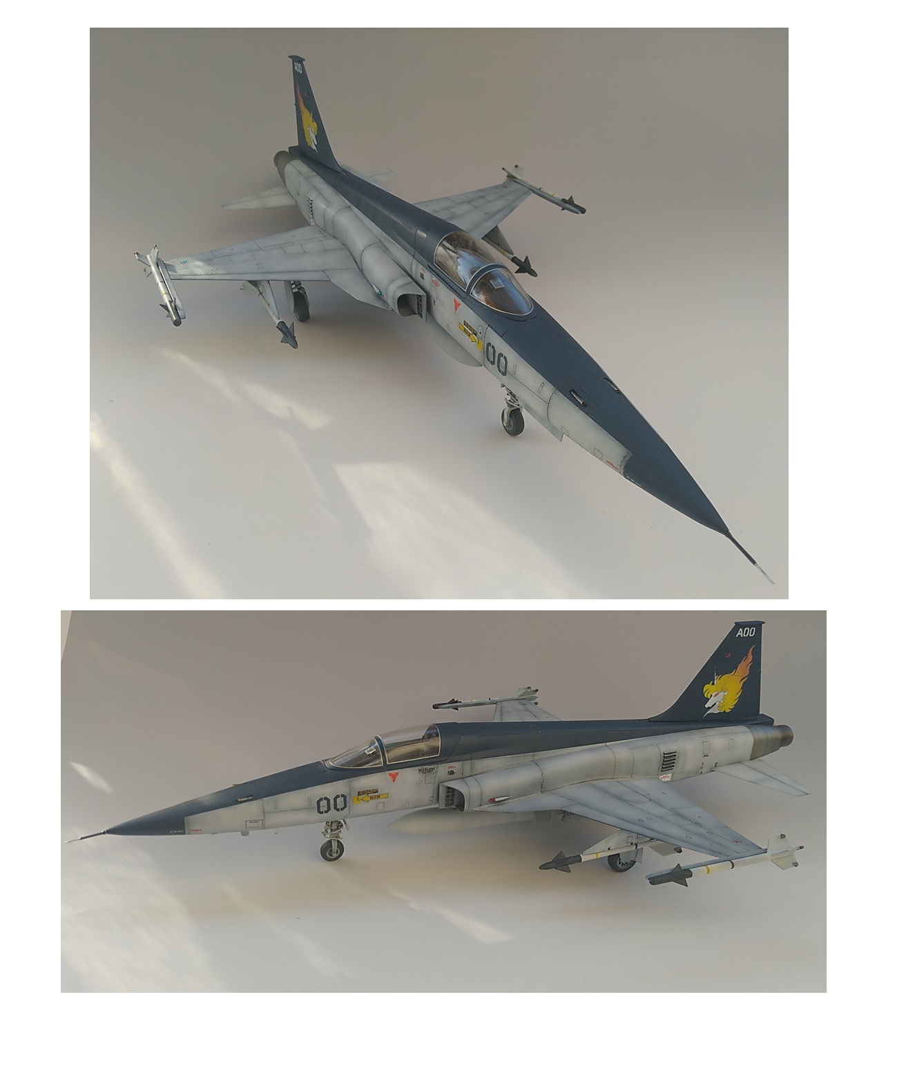 1/48 エリア88 OVA仕様！F-5タイガーⅡ風間慎乗機 新年感謝価格で売 ...