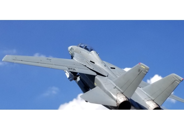 雰囲気だけでもTOP GUN画像3