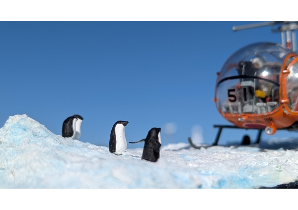 イタレリ 1/72 ベル47-G2  海上自衛隊「しらせ」搭載機画像5