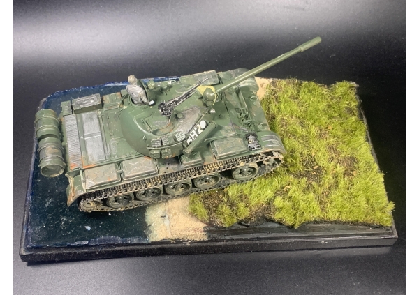 T55画像3