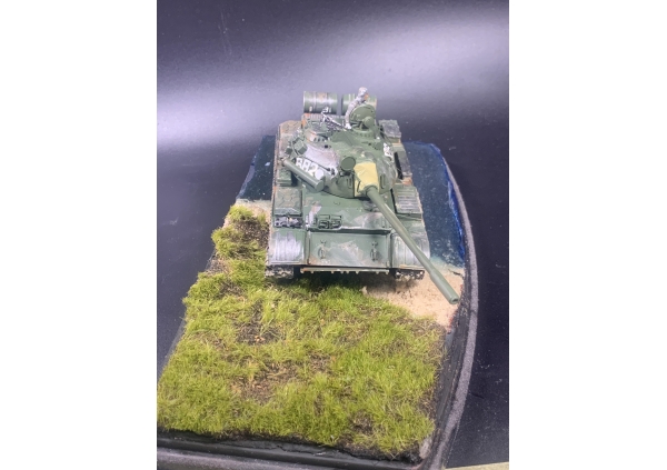 T55画像4