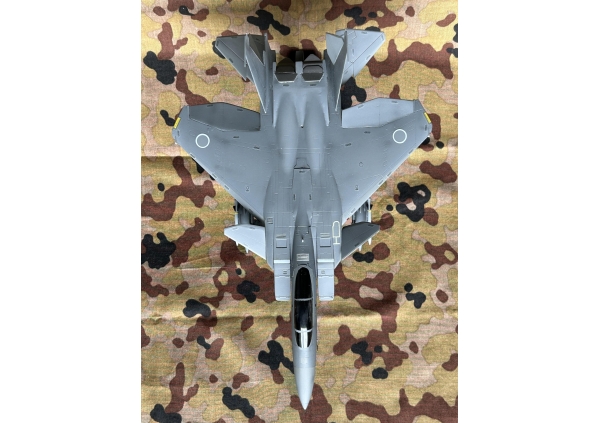 F-15J改 EAGLE+画像4