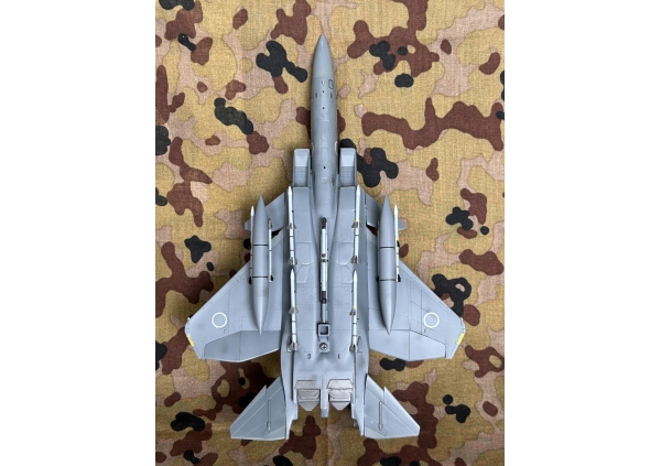 F-15J改 EAGLE+画像5