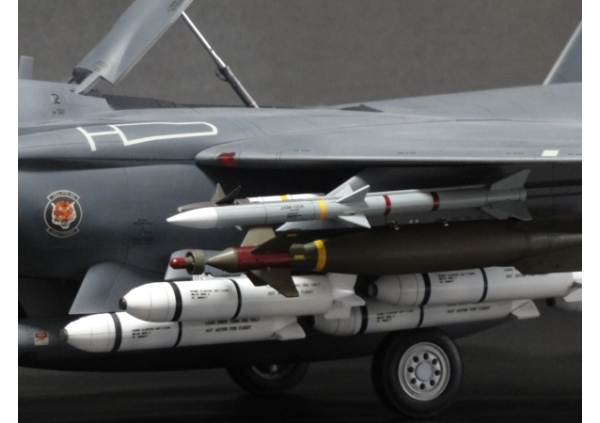 1/32 F15E ストライクイーグル ボールドタイガース画像4