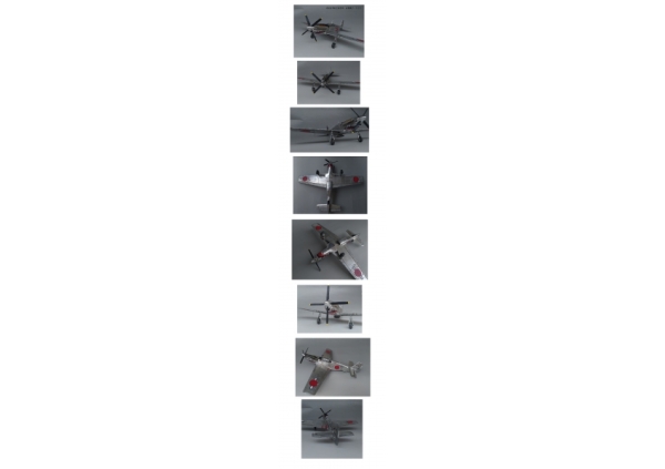 1/32 P-51C鹵獲機画像3
