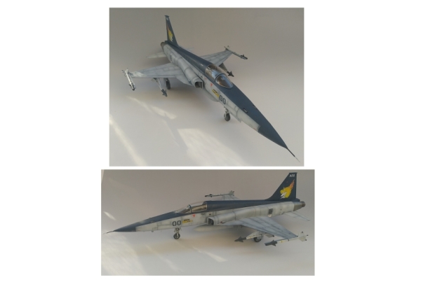 1/32 エリア88 OVA仕様!F-5タイガーⅡ風間慎乗機画像1