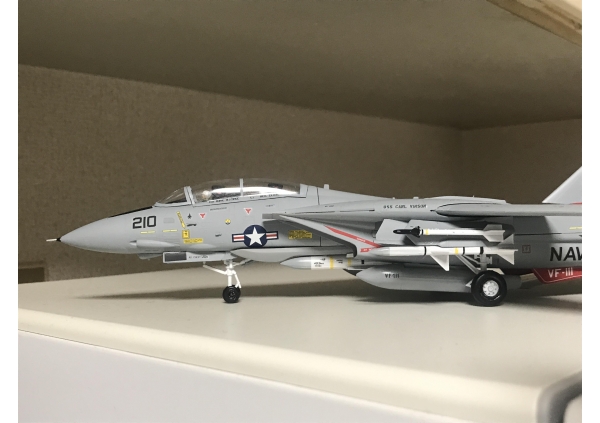 ハセガワ F-14A トムキャット ハイビジ画像1