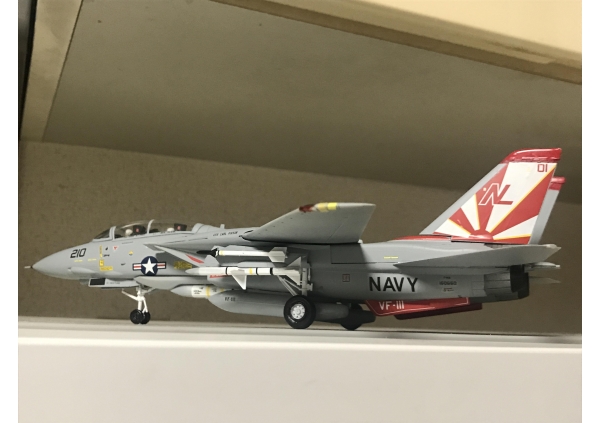 ハセガワ F-14A トムキャット ハイビジ画像2