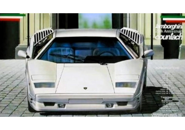 【2004フジミ模型㈱ 1/24】Lamborghini 25th Anniversary countach（ランボルギーニ カウンタック アニバーサリー）画像4